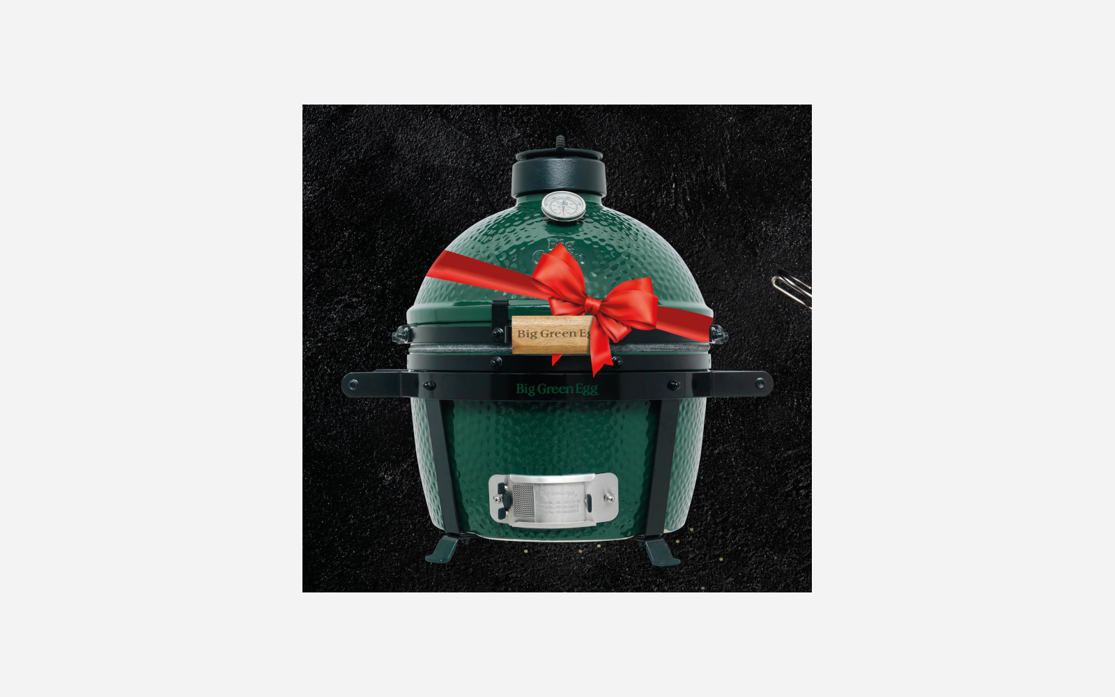 Big Green Egg Grill Starter Sets
