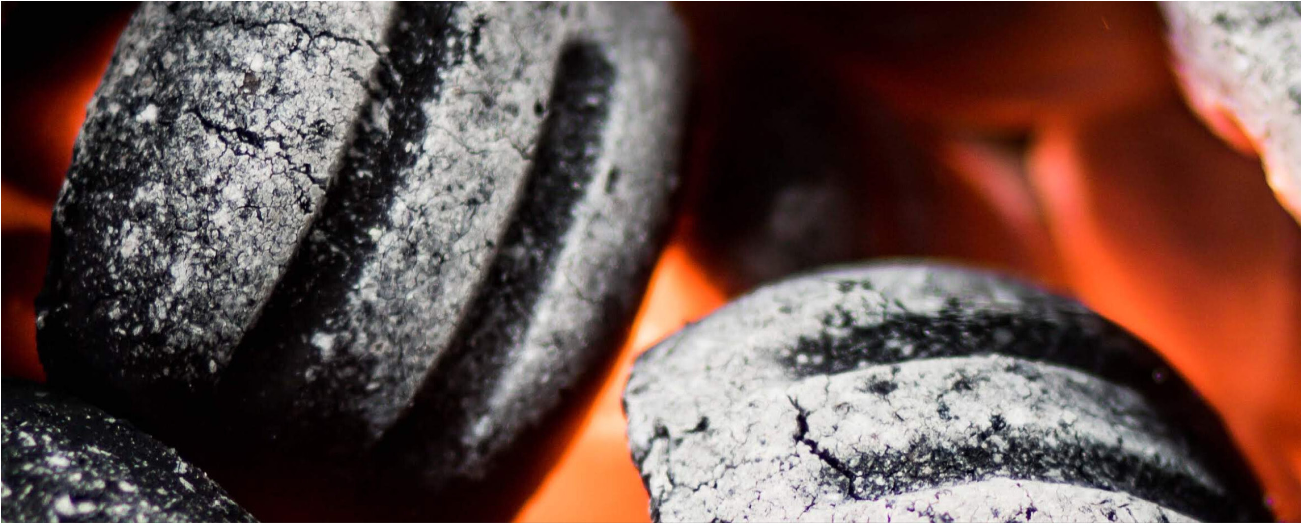 Markenbriketts im Test