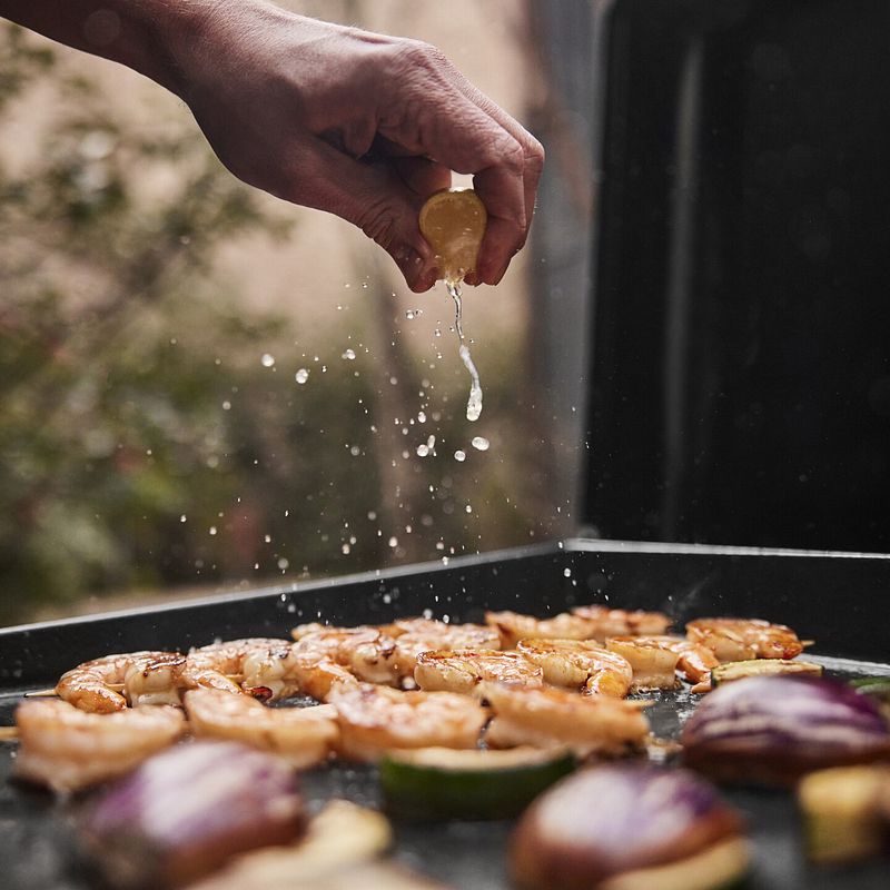 Mit der Plancha grillen und braten Sie von Fleisch über Gemüse bis hin zu Meeresfrüchten und mehr!