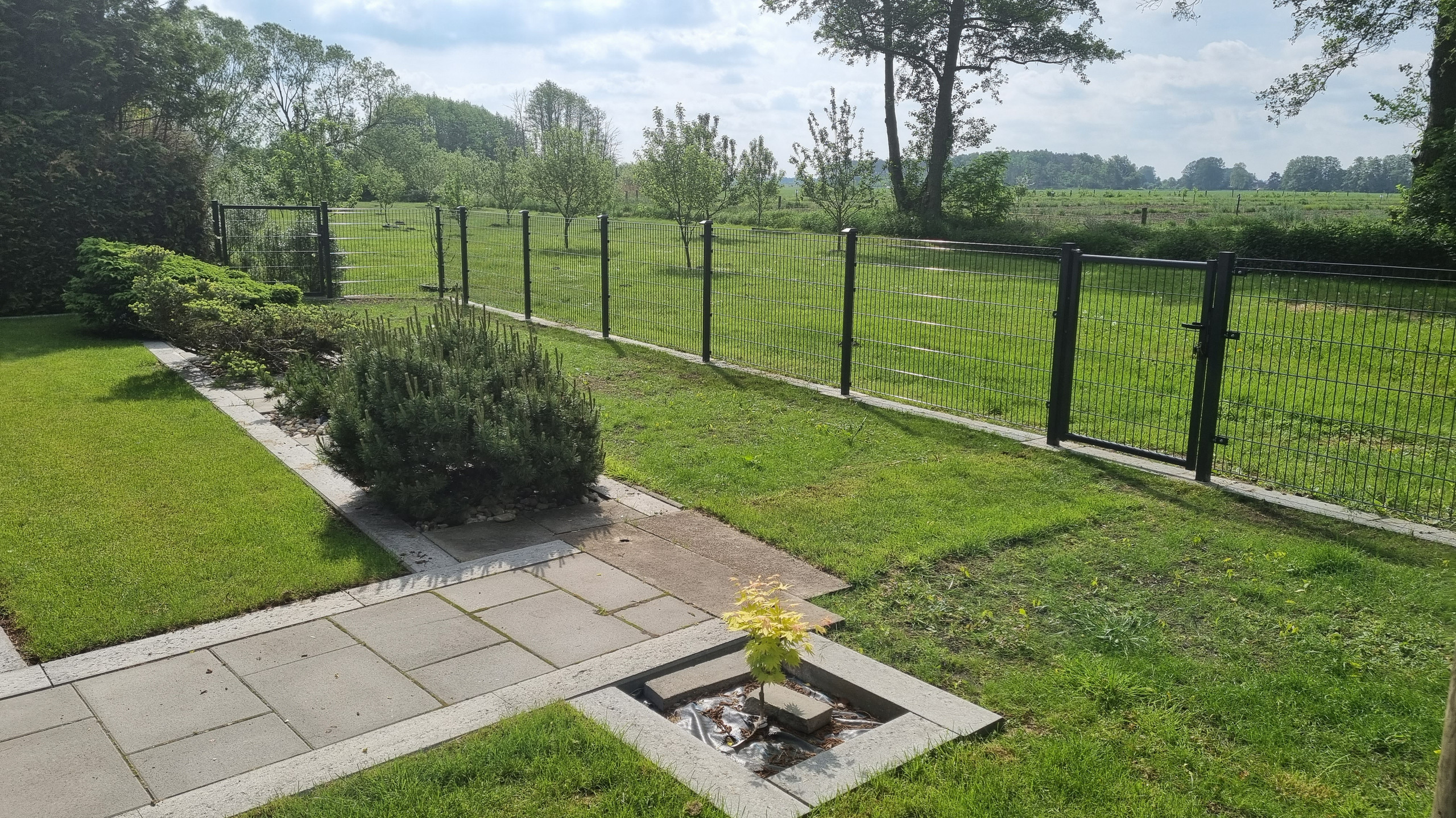 Kraus Dino Pro Doppelstabmatten Teaser Bild 1