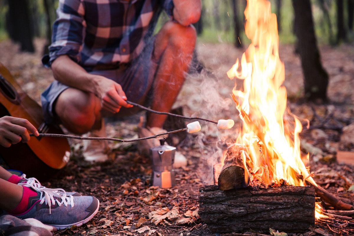 Im Wald darf in den meisten Fällen aufgrund der Waldbrandgefahr nicht gegrillt werden.