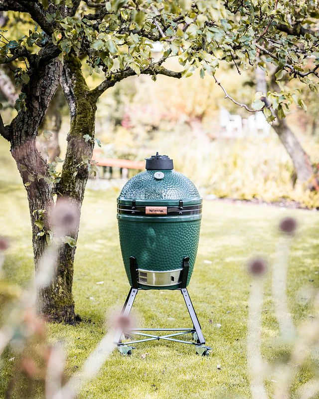 Das Big Green Egg unter einem Baum