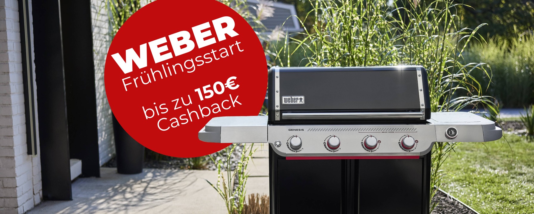 Weber Frühlingsstart