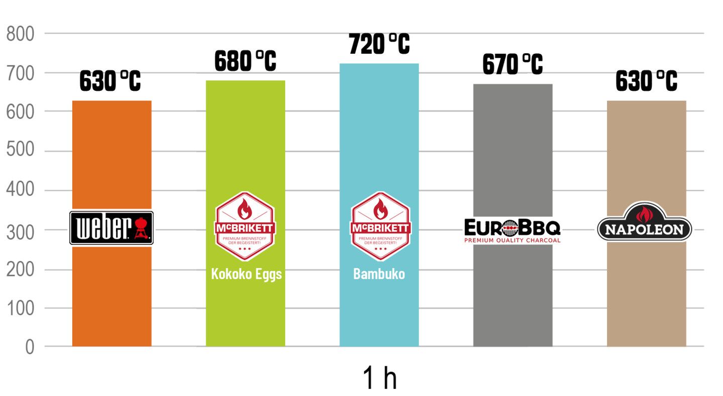 Temperatur der Briketts nach einer Stunde