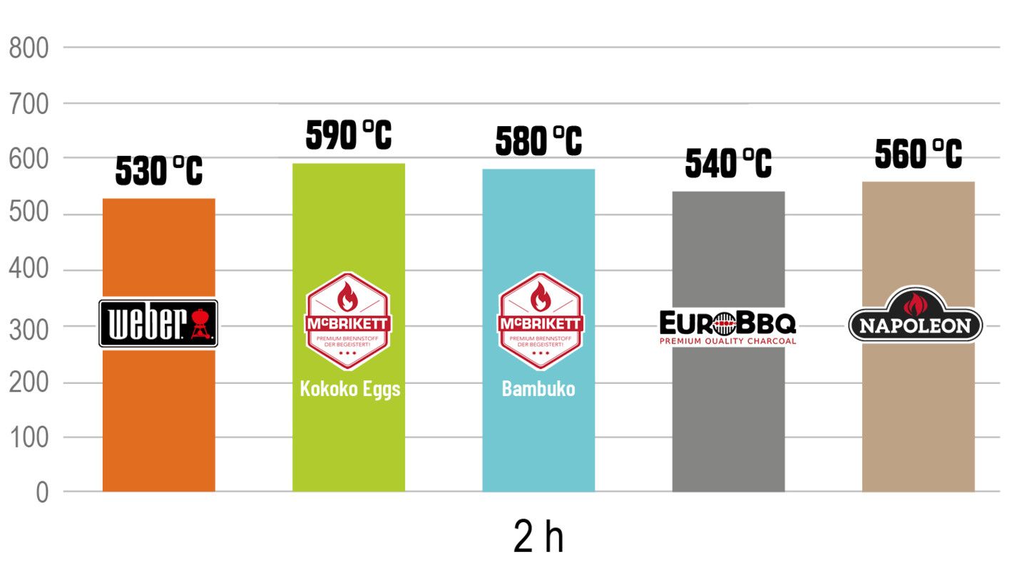 Temperatur der Briketts nach zwei Stunden