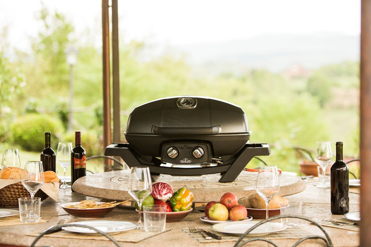 Tragbarer Kugelgasgrill von Napoleon