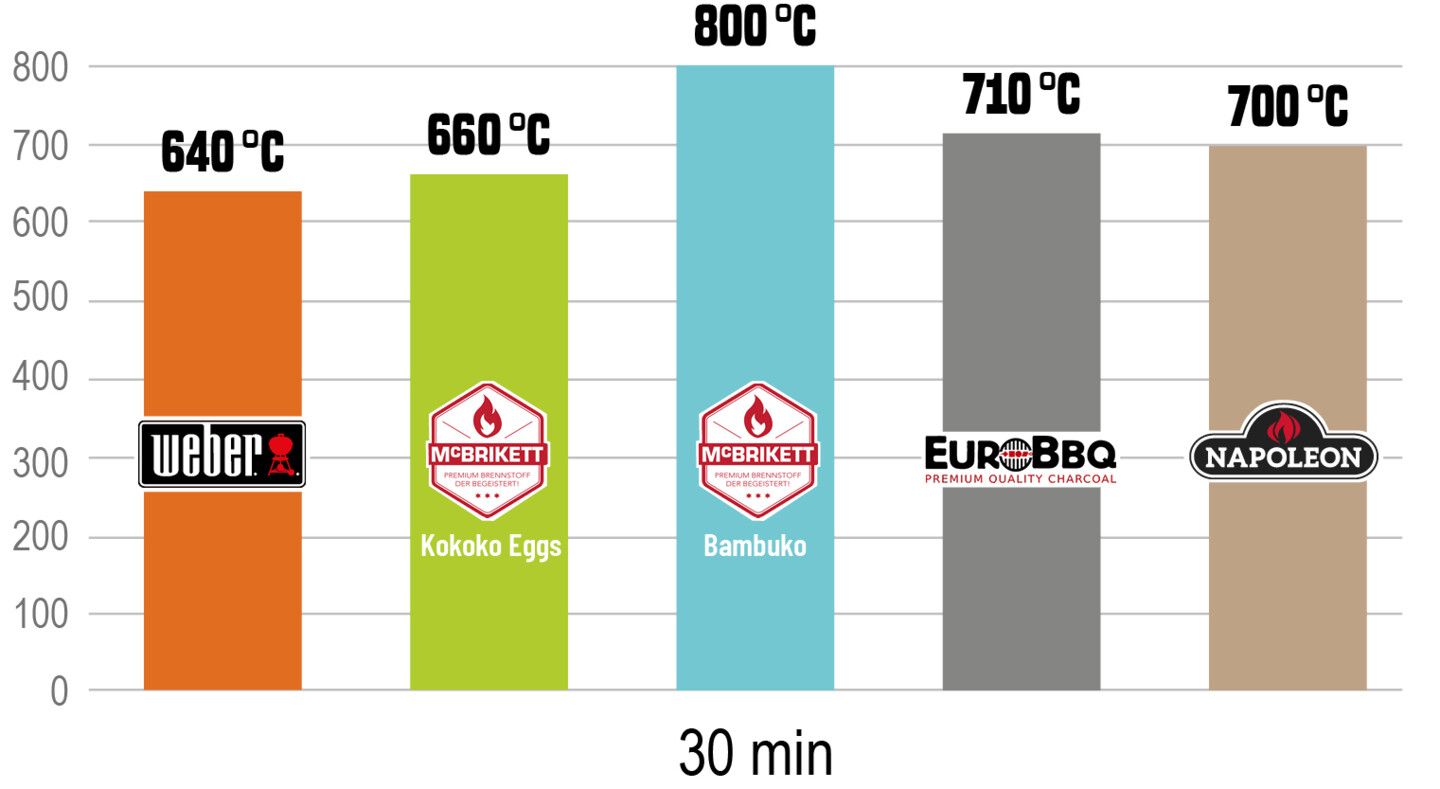 Temperatur der Briketts nach 30 Minuten