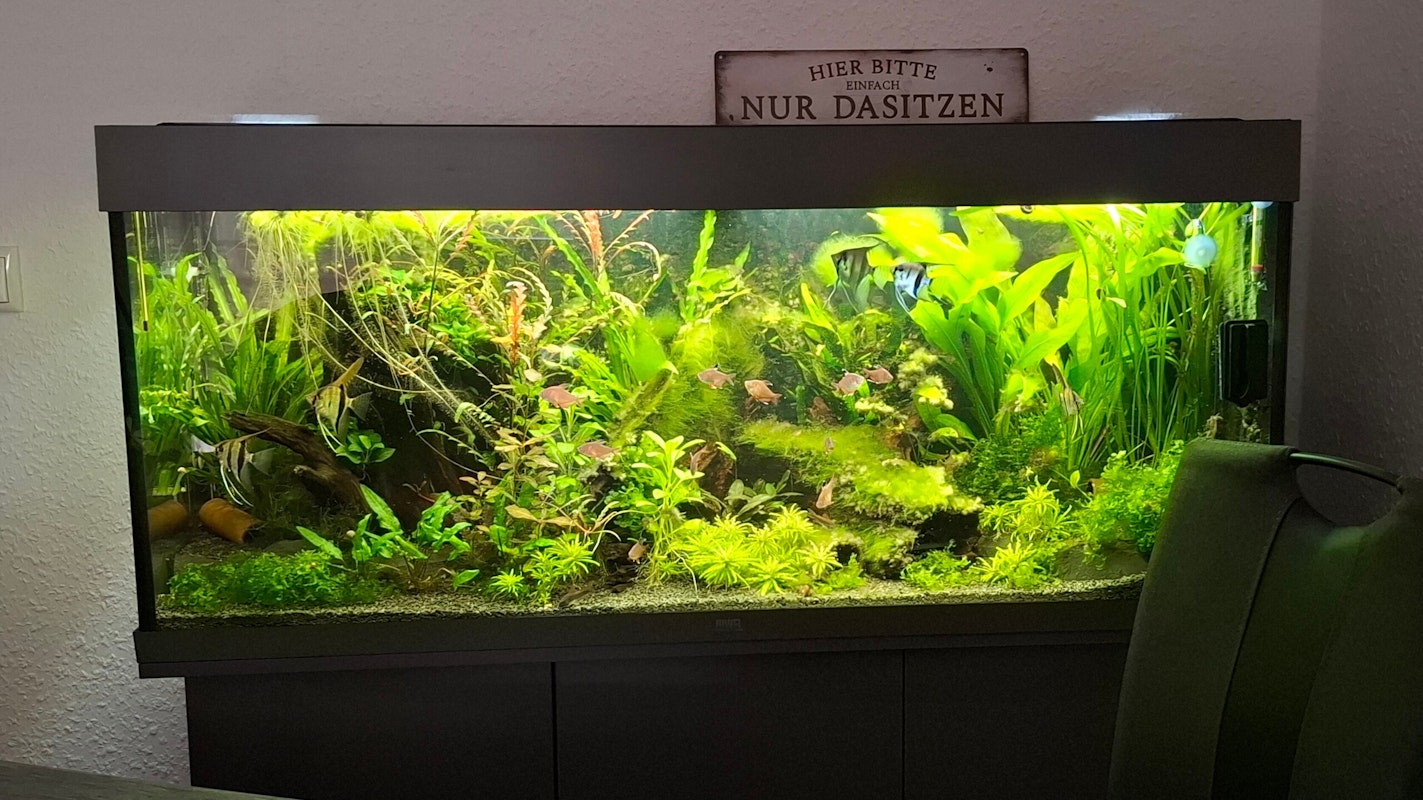 JUWEL Rio 240 LED Aquarium mit Unterschrank  JUWEL Rio 240 LED Aquarium mit Unterschrank