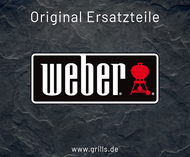Weber Zünderkit Genesis 2020 410/415  (69309)