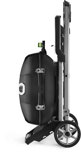 NAPOLEON Elektrogrill TRAVELQ™ PRO285EX, mit klapbaren Wagen