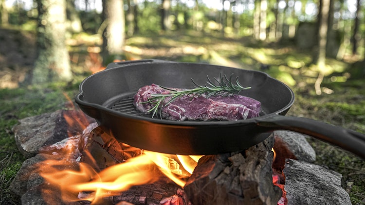 Petromax Grill-Feuerpfanne mit Stiel