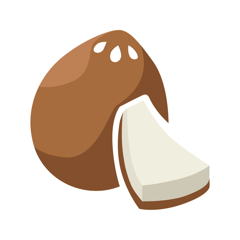 micr_icon_kokosnuss