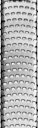Vorschaubild Microplane Zester/Reibe PREMIUM CLASSIC  FUNKY Spring Flowers