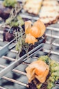 Vorschaubild höfats Grillzange