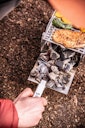 Vorschaubild SKOTTI MINI steckbarer Edelstahl Grill