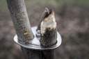 Vorschaubild Petromax Dreibein-Ring