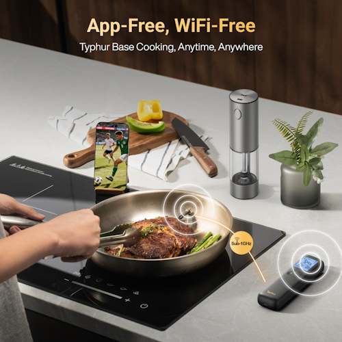 Typhur Grillthermometer SYNC Gold Lite - 1 Thermometer