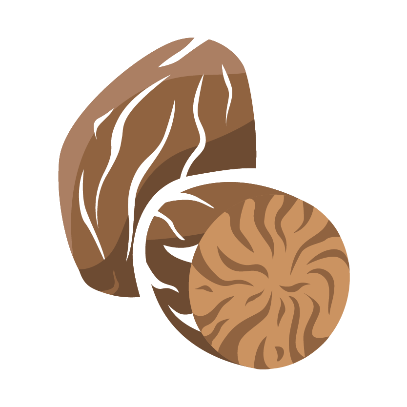 micr_icon_muskatnuss