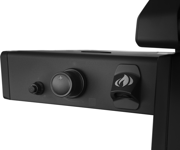 Napoleon Phantom Freestyle PRO 425, mit Edelstahl Rosten und Tür, Mattschwarz