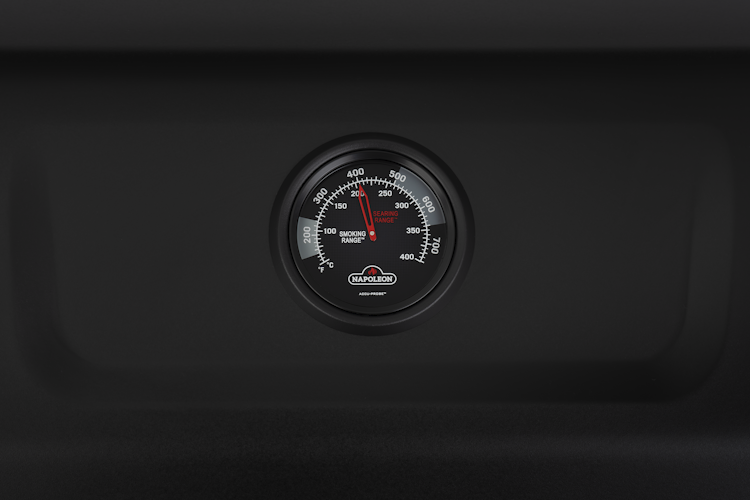 Napoleon Phantom Freestyle PRO 425, mit Edelstahl Rosten und Tür, Mattschwarz