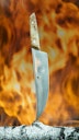 Vorschaubild DICK BBQ-Messer Asador VIVUM 22 cm