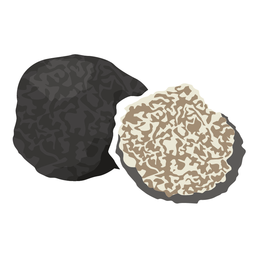 micr_icon_tru__ffel