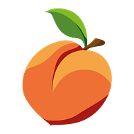 micr_icon_pfirsich
