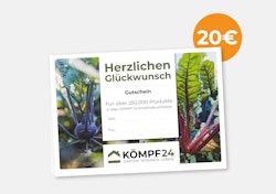 Gutschein 20 Euro