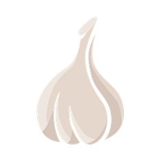 micr_icon_konoblauch