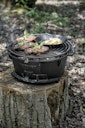 Vorschaubild Petromax Feuergrill tg3