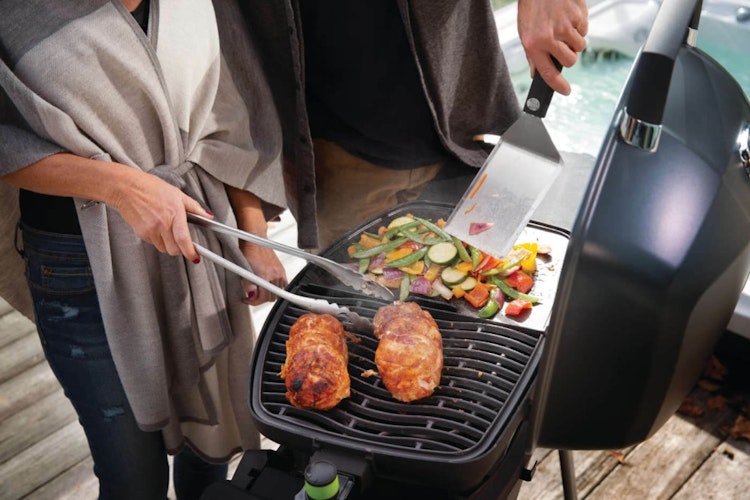 NAPOLEON Elektrogrill TRAVELQ PRO285E inkl. Wagen