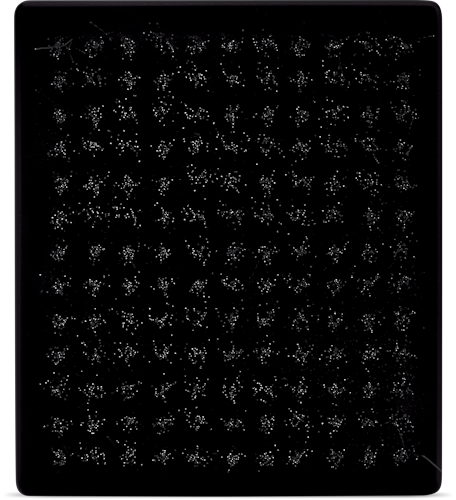 Napoleon Essential Grillbürste mit Edelstahlkopf und Schrubpad