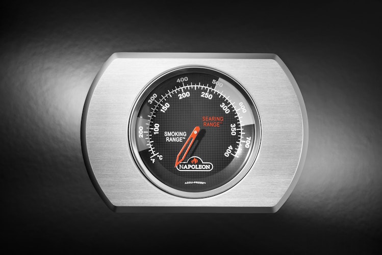 NAPOLEON Gasgrill Rogue PRO-S 525 mit Gußrosten, Schwarz