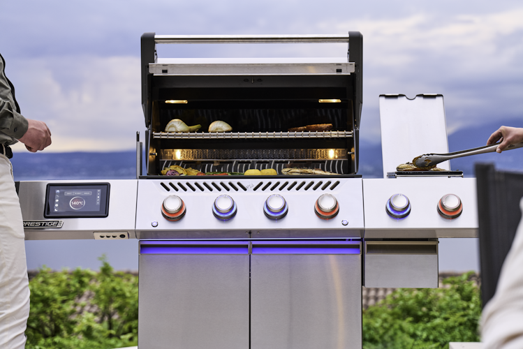 Napoleon Elektrische Räucherbox für PRO500V