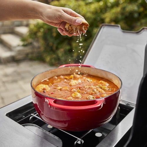 Weber Gasgrill SUMMIT FS38 E