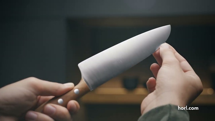 HORL 3 Pro HORL 3 Pro