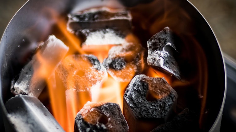 NAPOLEON Kokosbriketts, 10kg (67301) NAPOLEON Kokosbriketts, 10kg (67301)